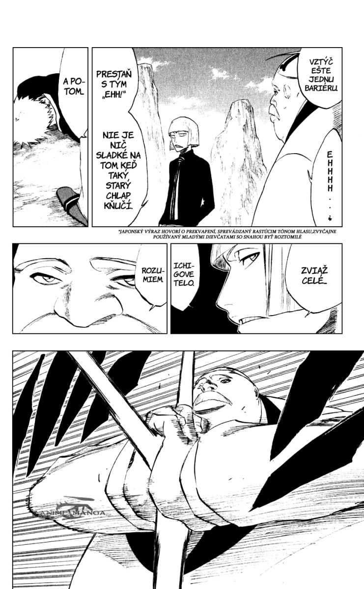 Bleach 218 04 kopie.jpg